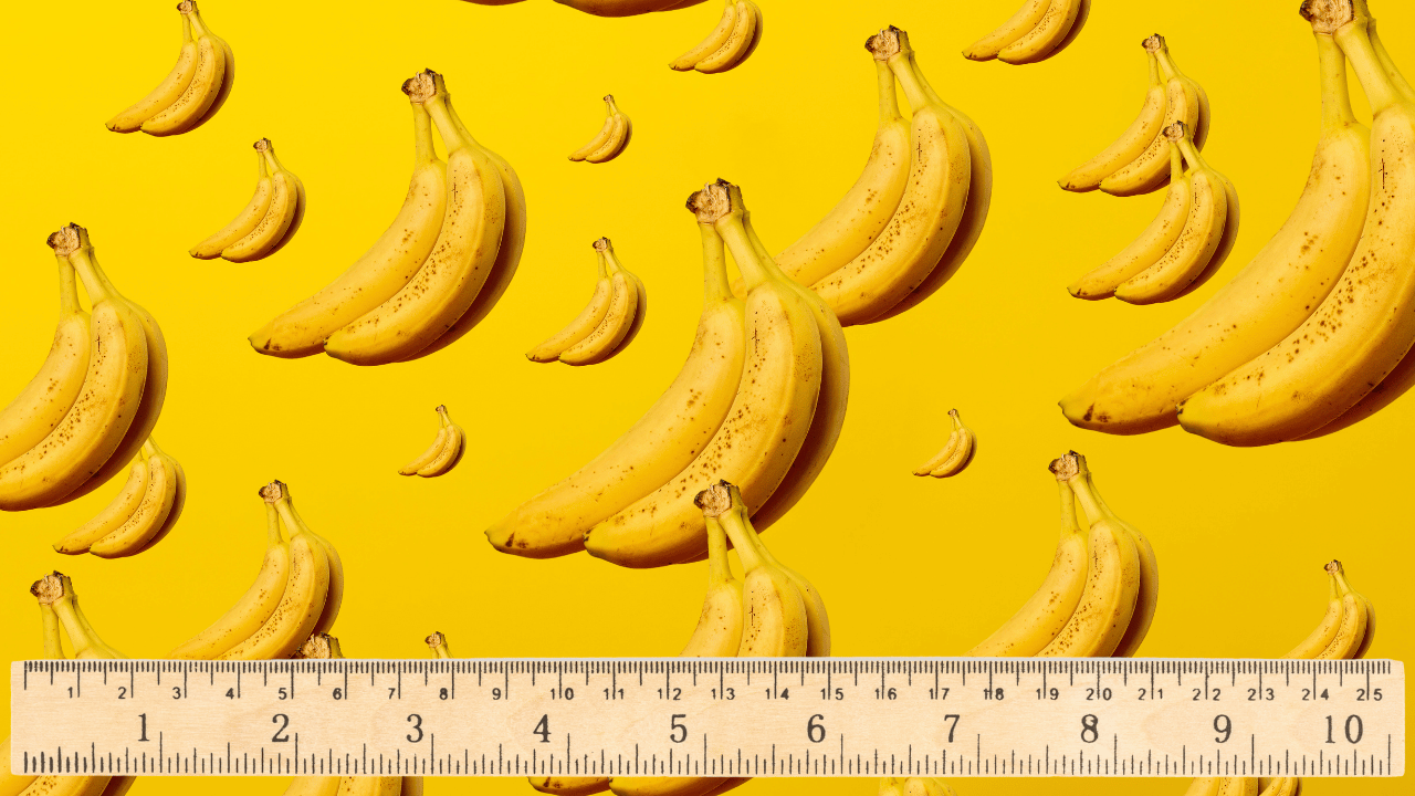Anatomy: Penises of All Shapes and Sizes