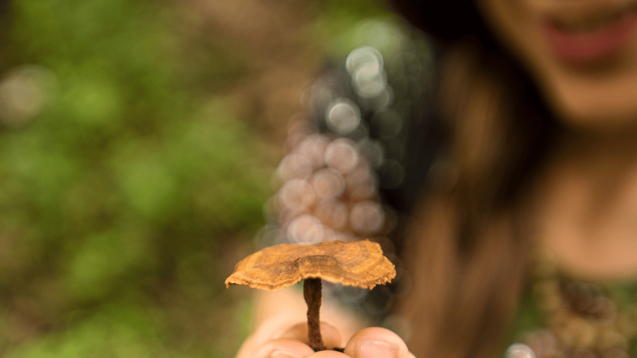 Anatomy: His Cock’s Head