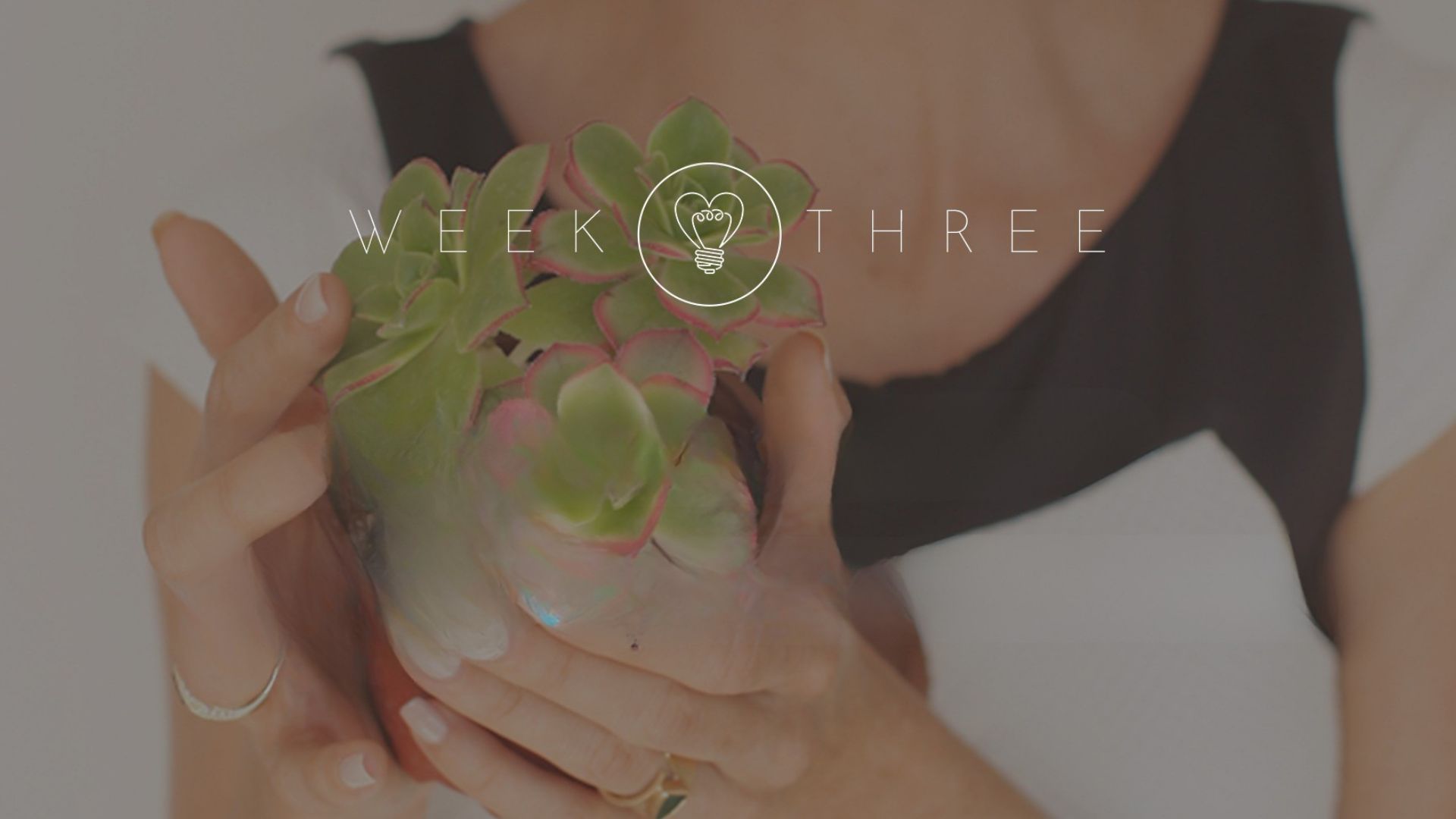 JEM Week 3 - Accessing Your Erotic Intelligence